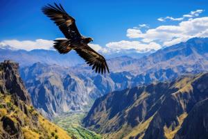 Vallée de Colca