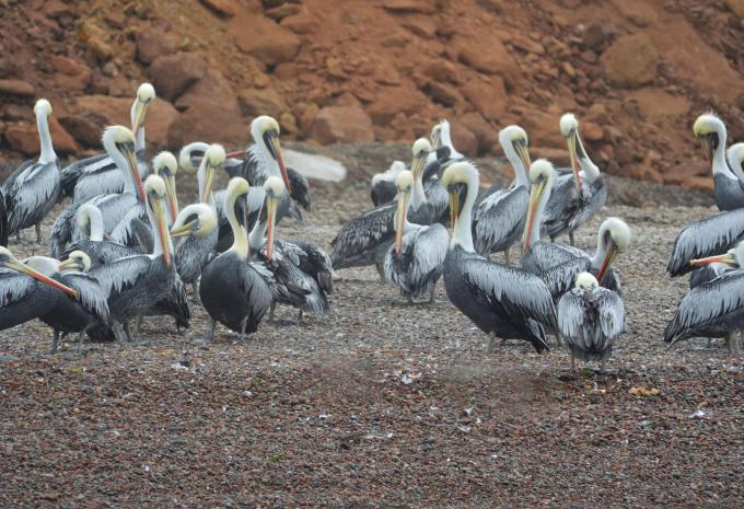 Pérou - Circuit intensif avec itinéraire sud