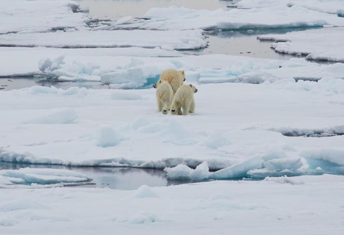Spitzbergen - Expeditions-Kreuzfahrt