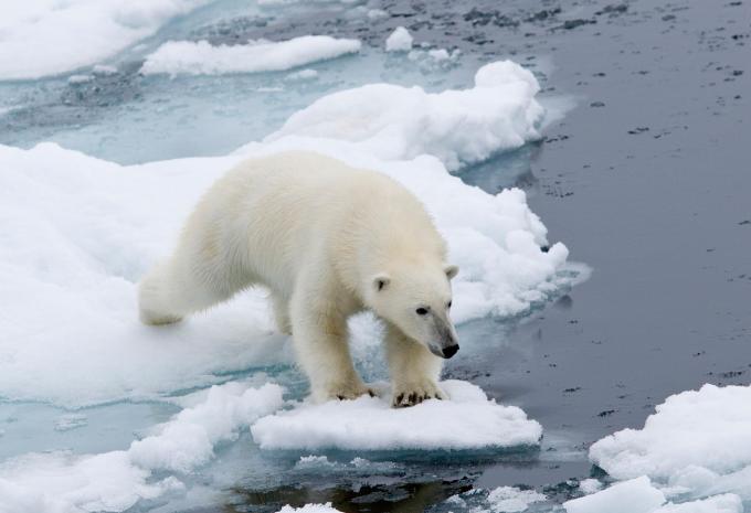 Spitzbergen - Expeditions-Kreuzfahrt
