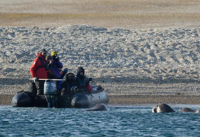 Spitzbergen - Expeditions-Kreuzfahrt