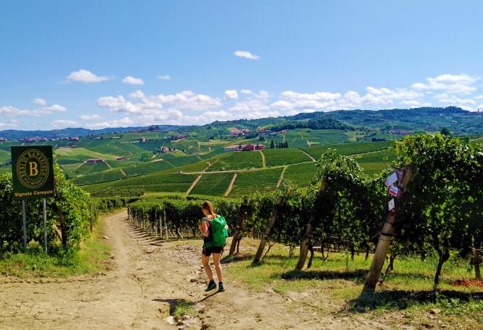 Genusswandern im Piemont - Wanderreise