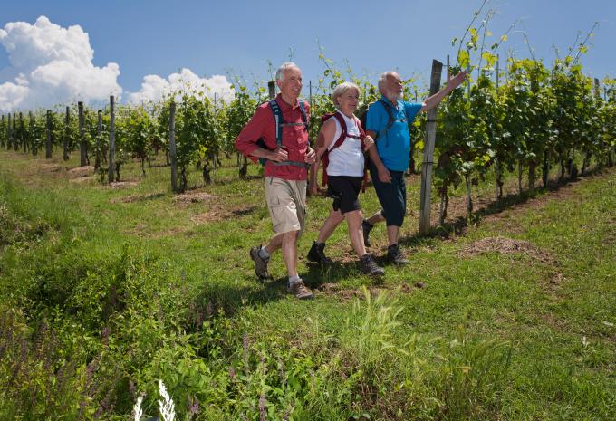 Genusswandern im Piemont - Wanderreise