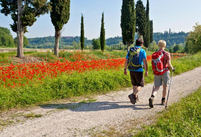 Von Verona zum Gardasee - Weinwandern im Valpolicella