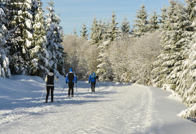 Bad Wildbad nella Foresta Nera