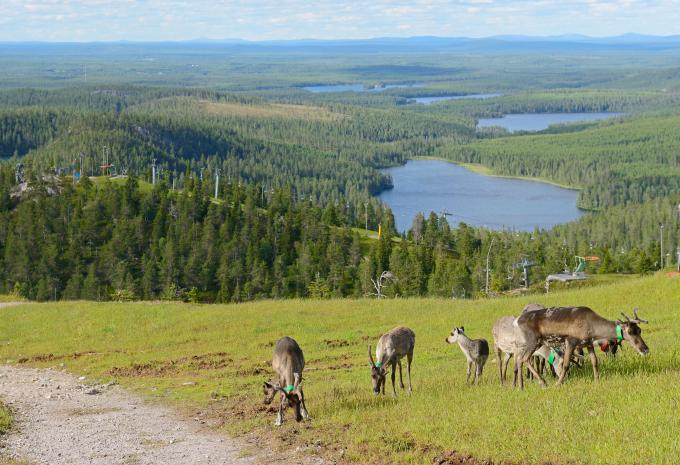 Grande tour della Scandinavia