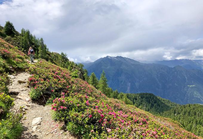 Via Claudia Augusta - Auf alten Römerwegen durch den Vinschgau - Wanderreise
