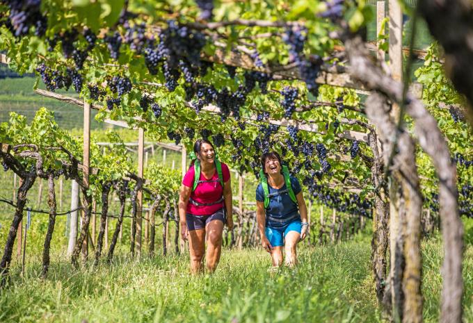 Via Claudia Augusta - Auf alten Römerwegen durch den Vinschgau - Wanderreise