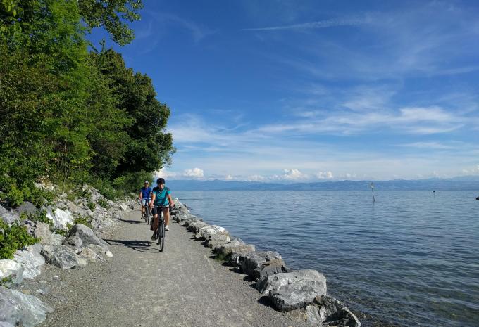 Lac de Constance depuis/jusqu'à St. Margrethen - Circuit à vélo