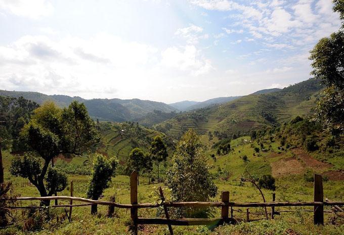 Ouganda - La perle de l'Afrique - Circuit