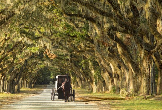 Von Dallas bis Atlanta durch die Südstaaten - Rundreise