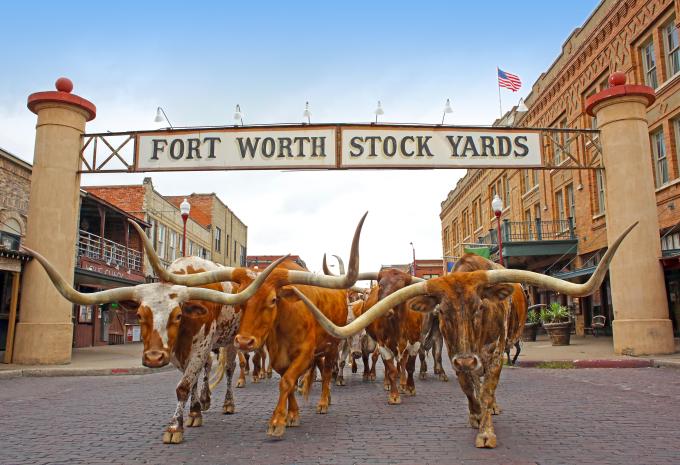 Von Dallas bis Atlanta durch die Südstaaten - Rundreise