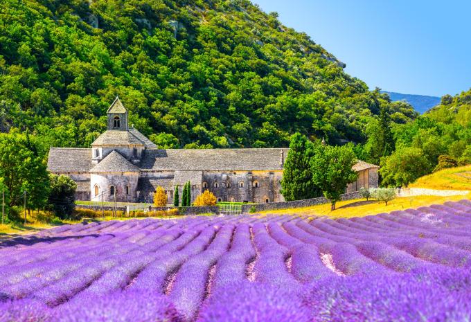 Provence zur Lavendelblüte - Carreise