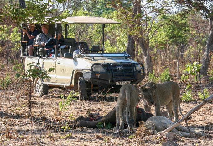 Zambie - Circuit à travers le dernier secret safari d'Afrique