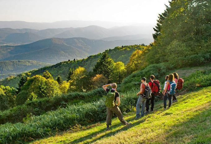 Des vignobles aux sommets des Vosges - Randonnée en Alsace