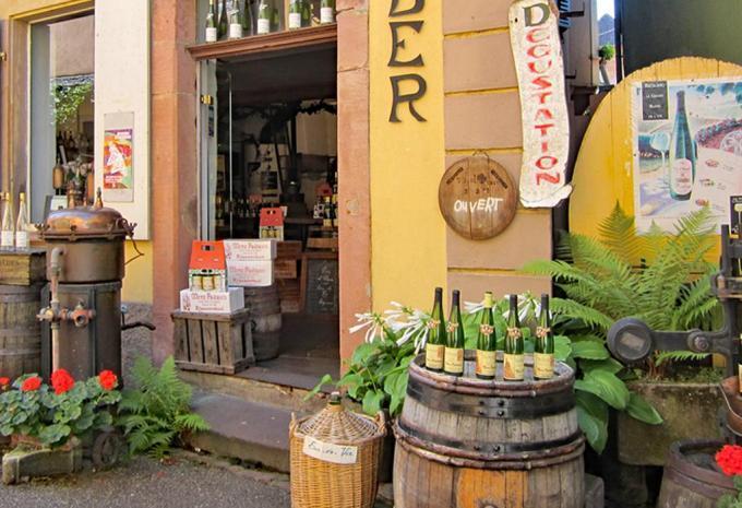 Des vignobles aux sommets des Vosges - Randonnée en Alsace