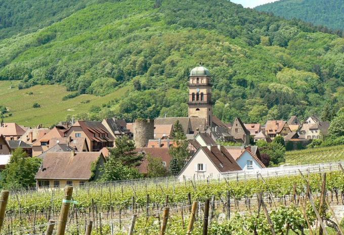 Des vignobles aux sommets des Vosges - Randonnée en Alsace