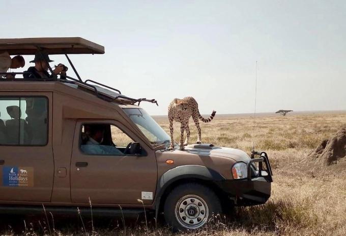 Tanzanie - Safari à travers le nord fascinant