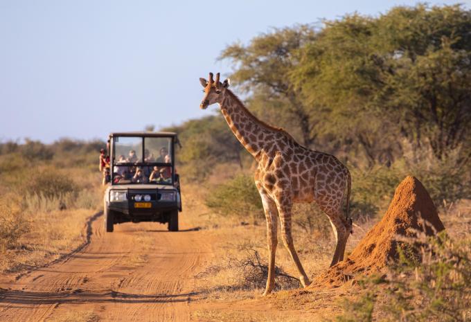 Tanzanie - Safari à travers le nord fascinant