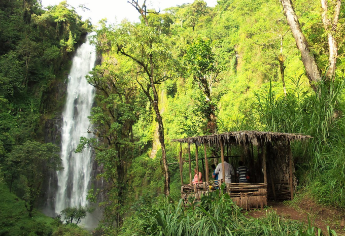 Tanzanie - Safari à travers le nord fascinant