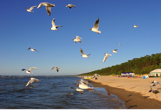 Copy: Pays Baltes - Circuit