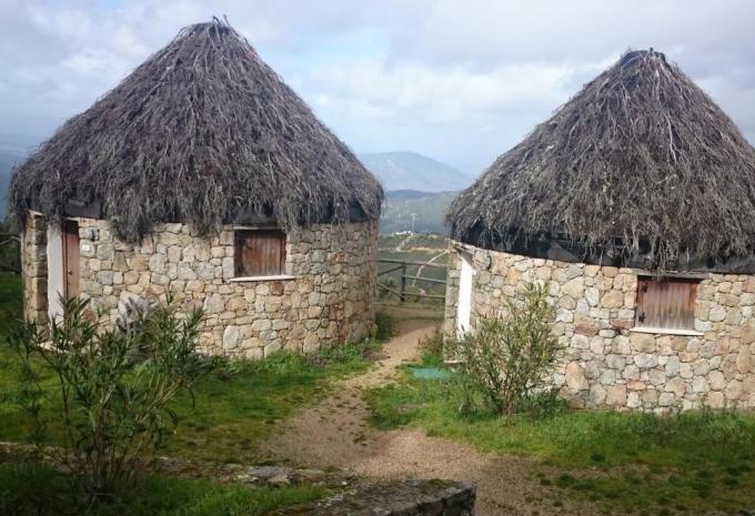 Le monde des bergers