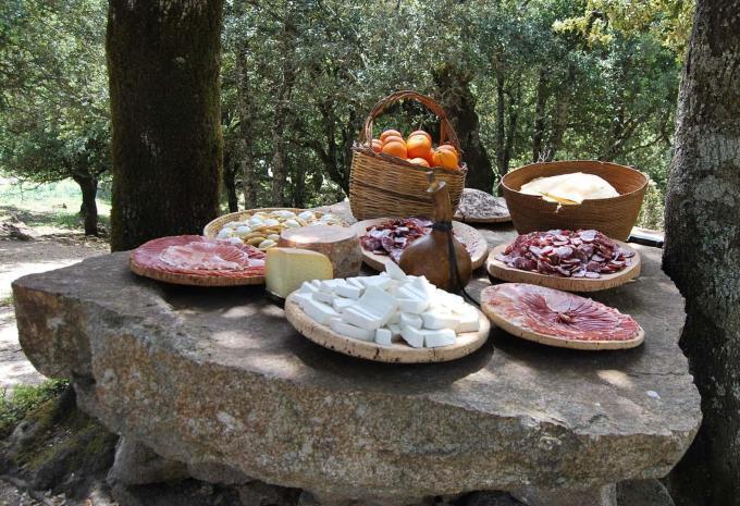 Le monde des bergers