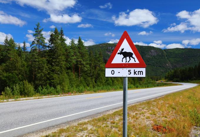 Magisches Norwegen - Carreise