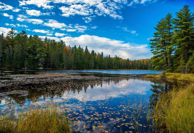 Canada occidentale: praterie, Montagne Rocciose e Pacifico - Tour