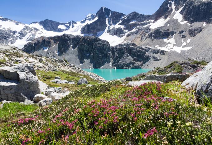 Canada occidentale: praterie, Montagne Rocciose e Pacifico - Tour