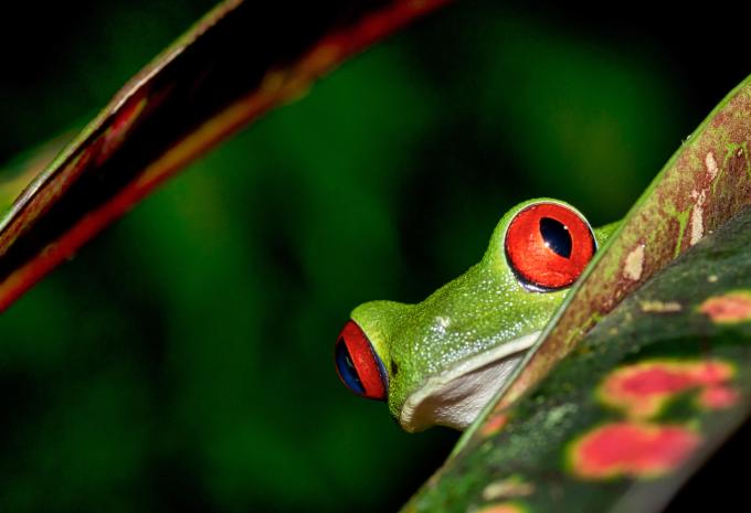 Costa Rica - Voyage randonnée