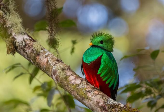 Costa Rica - Voyage randonnée