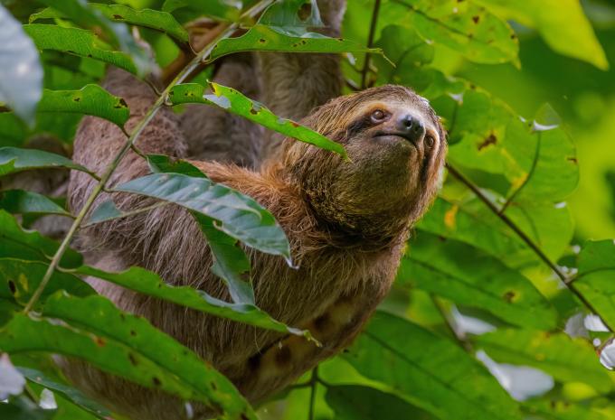 Costa Rica - Voyage randonnée