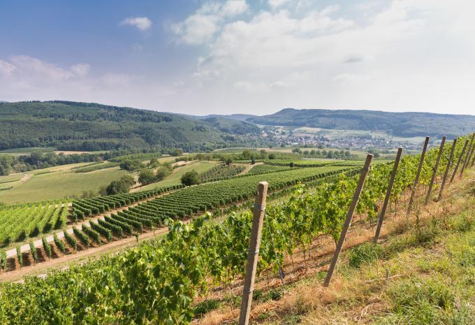 Auf dem Südschwarzwald-Veloweg - Velotour