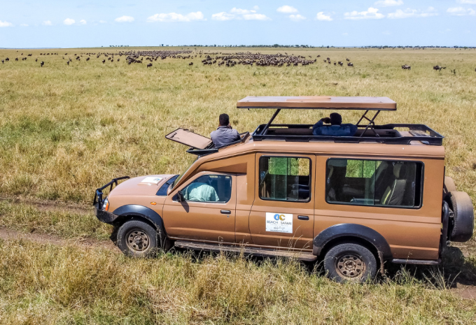 Tanzania e Zanzibar - Safari & soggiorno balneare