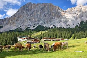 Escursione sulla Zugspitze - Tour escursionistico