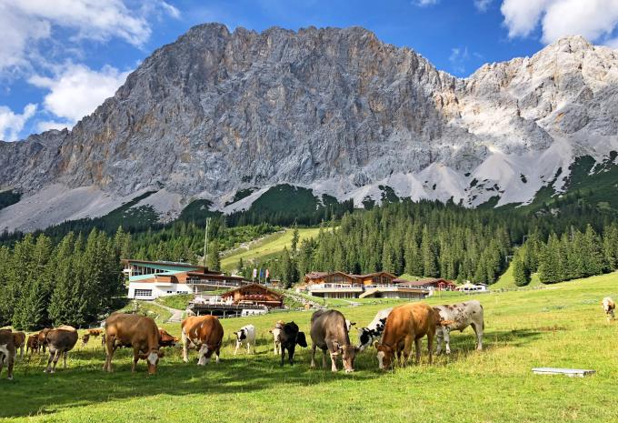 Escursione sulla Zugspitze - Tour escursionistico
