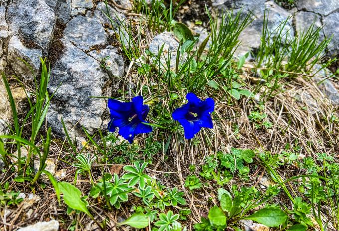 Escursione sulla Zugspitze - Tour escursionistico