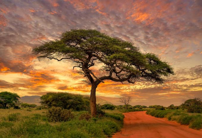 Tsavo-Nationalpark