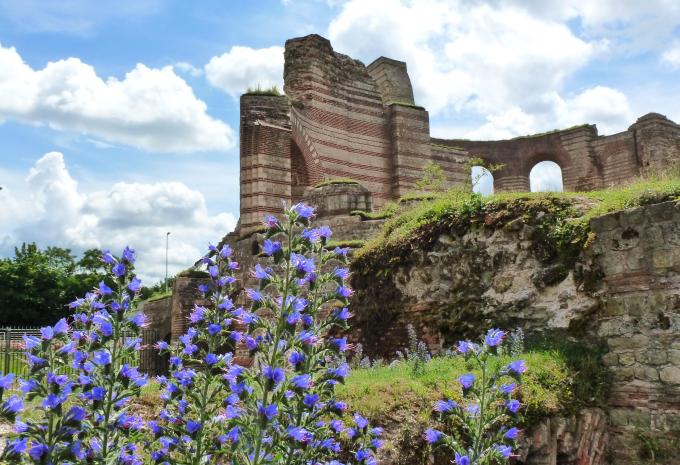 Lungo la pista ciclabile della Mosella da Trier a Treis-Karden - Tour in bicicletta