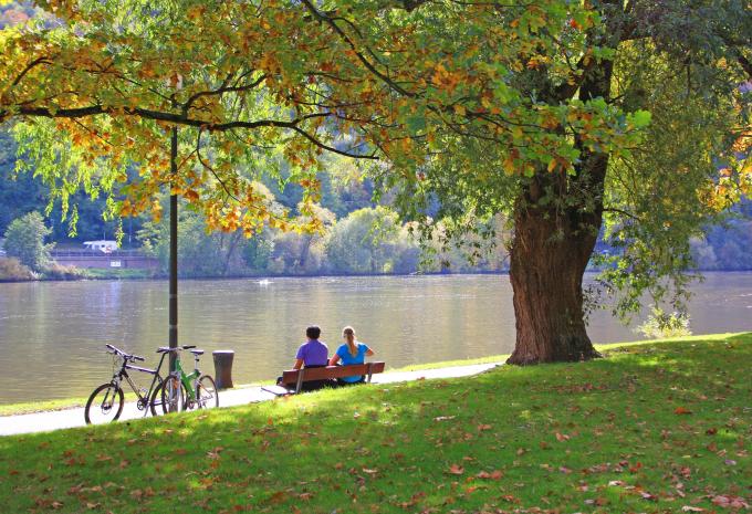 Lungo la pista ciclabile della Mosella da Trier a Treis-Karden - Tour in bicicletta