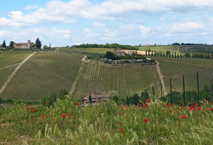 La pittoresca Toscana - Tour escursionistico