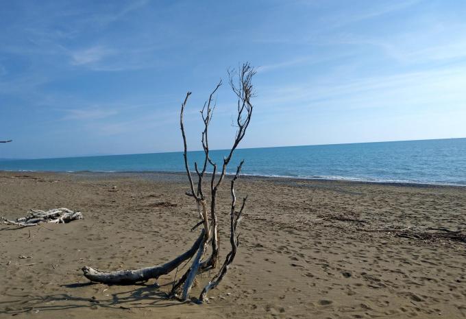La pittoresca Toscana - Tour escursionistico