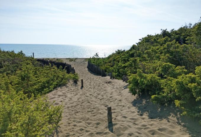 La pittoresca Toscana - Tour escursionistico