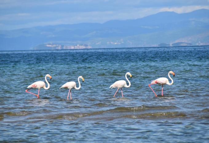 Auf dem Rad durch Albanien - Radtour