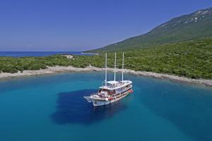 Schiff der I.D. Riva Flotte