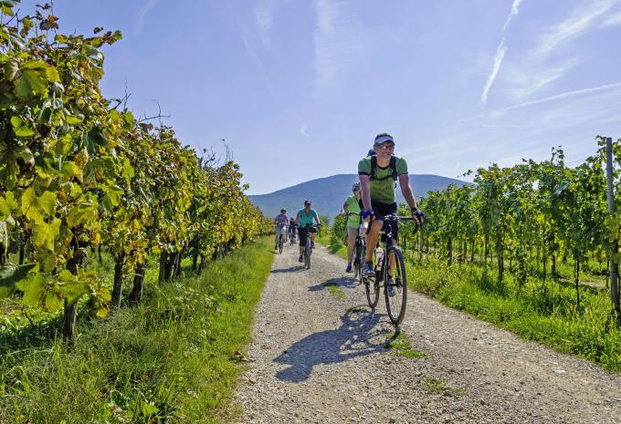 Kroatien - Inselhüpfen & Velotour ab/bis Rijeka