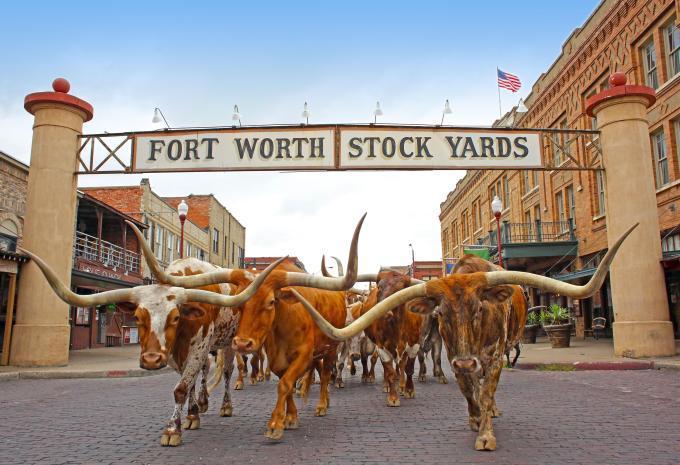 Copy: Texas & États du sud - Circuit