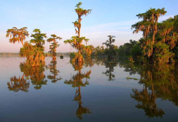 Copy: Texas & États du sud - Circuit