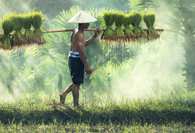 I punti salienti del Vietnam del Sud con Phú Quốc - Tour & soggiorno balneare